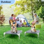 Cool Elevated Dog Bed for Small Pets