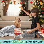 Washable Soft Dog Blanket for Cats and Dogs