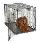 MidWest 42-Inch Folding Dog Crate with Divider