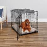 MidWest 42-Inch Folding Dog Crate with Divider