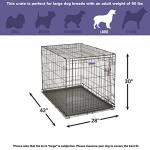 MidWest 42-Inch Folding Dog Crate with Divider