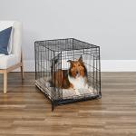 MidWest 36-Inch Folding Dog Crate with Divider