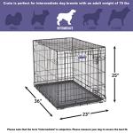MidWest 36-Inch Folding Dog Crate with Divider