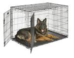 MidWest 48-Inch Folding Dog Crate for XL Breeds