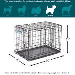 MidWest 30-Inch Folding Dog Crate with Divider