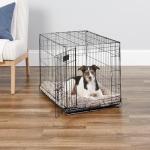 MidWest 30-Inch Folding Dog Crate with Divider
