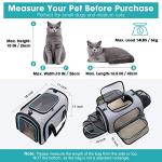 Expandable Pet Carrier for Small Dogs and Cats