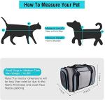 Expandable Pet Carrier for Small Dogs and Cats