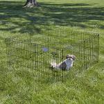 Folding Metal Dog Playpen - 16 Sq Ft Space
