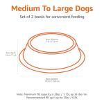 Stainless Steel Non-Skid Dog Bowls, 2-Pack