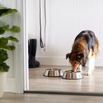 Stainless Steel Non-Skid Dog Bowls, 2-Pack
