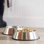 Stainless Steel Non-Skid Dog Bowls, 2-Pack