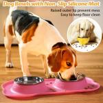 Stainless Steel Dog Bowls with Non-Skid Mat