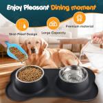 Double Dog Food Bowls with No-Spill Mat