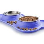 Dog Bowls Set with Non-Skid Mat and Scoop