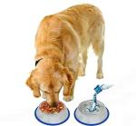 2 Pack Etched Stainless Steel Dog Bowls