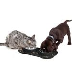 No-Spill Stainless Steel Dog Food and Water Bowls