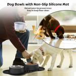 No-Spill Stainless Steel Dog Food and Water Bowls