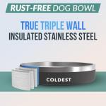 Insulated Non-Slip Dog Bowl - Spill Proof 21 oz