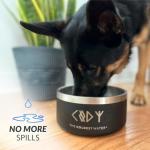 Insulated Non-Slip Dog Bowl - Spill Proof 21 oz