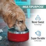 Insulated Non-Slip Dog Bowl - Spill Proof 21 oz