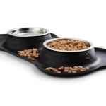 Stainless Steel Dog Bowls with Non-Skid Mat