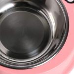 Skrtuan Stainless Steel Double Bowls for Pets