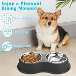 Stainless Steel Double Dog Bowl with Non-Slip Base