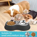 Stainless Steel Double Dog Bowl with Non-Slip Base