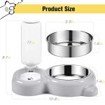 Dog and Cat Food Bowl Set with Dispenser
