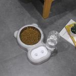 Dog and Cat Food Bowl Set with Dispenser