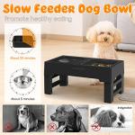 URPOWER Adjustable Elevated Slow Feeder Dog Bowls
