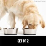 Heavy Duty Stainless Steel Dog Bowls - Set of 2