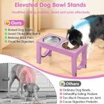Adjustable Elevated Dog Bowls for Large Breeds