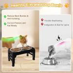 Adjustable Elevated Dog Bowls with Stainless Steel Bowls