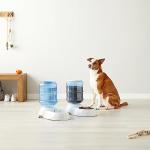 Automatic Dog and Cat Water Feeder Set