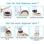 2 Pack Automatic Feeder and Water Dispenser