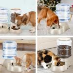 2 Pack Automatic Feeder and Water Dispenser