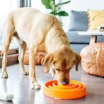 Outward Hound Slo Bowl for Large Dogs