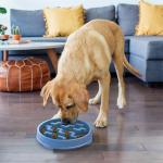 Outward Hound Slow Feeder Bowl for Dogs