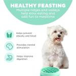 Outward Hound Slow Feeder Bowl for Small Dogs