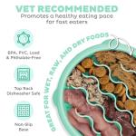 Outward Hound Slow Feeder Bowl for Small Dogs