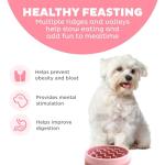 Outward Hound Slow Feeder Slo Bowl - Pink