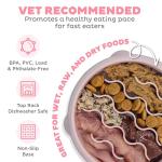 Outward Hound Slow Feeder Slo Bowl - Pink