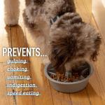 Leash Boss Slow Feeder Puzzle Dog Bowl