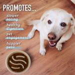 Leash Boss Slow Feeder Puzzle Dog Bowl