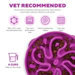 Outward Hound Slo Bowl Dog Feeder Bundle