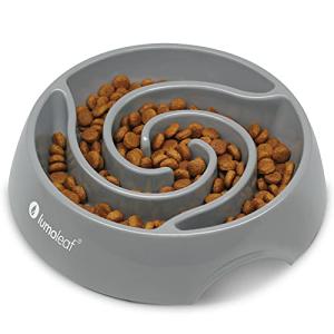 LumoLeaf Large Slow Feeder Dog Bowl - 4 Cups