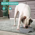 LumoLeaf Large Slow Feeder Dog Bowl - 4 Cups