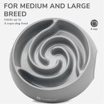 LumoLeaf Large Slow Feeder Dog Bowl - 4 Cups